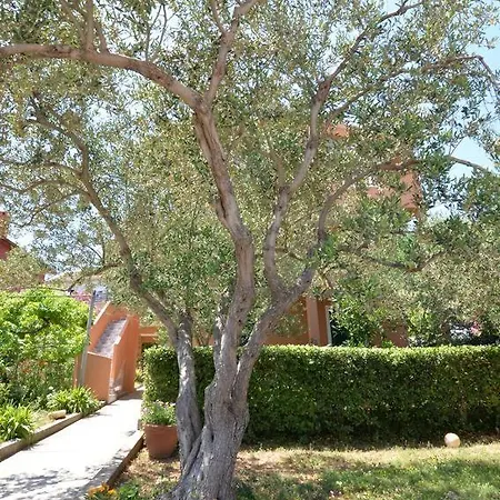 16589b